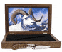 405 Dall Sheep